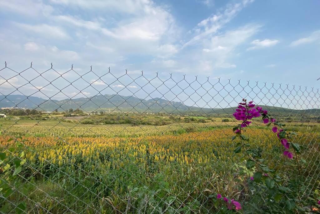 Kali-Mali Casa De Campo Eco-Friendly Malinalco Villa ภายนอก รูปภาพ